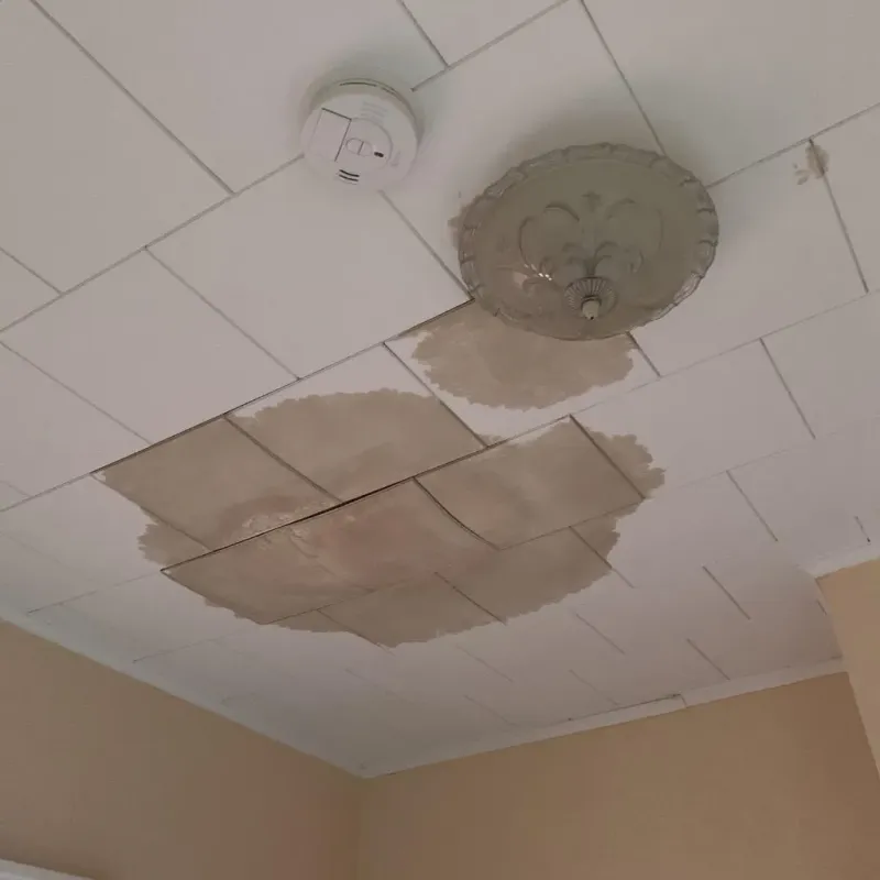 Ceiling Water Damage Repair in Marion County, KY