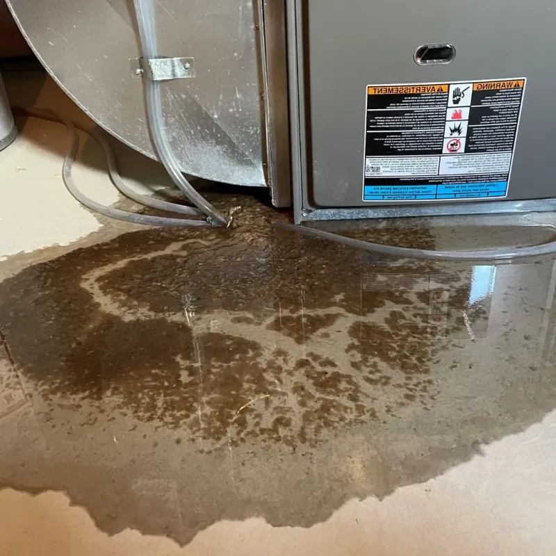 Pipe Burst and Leak Restoration in Marion County, KY