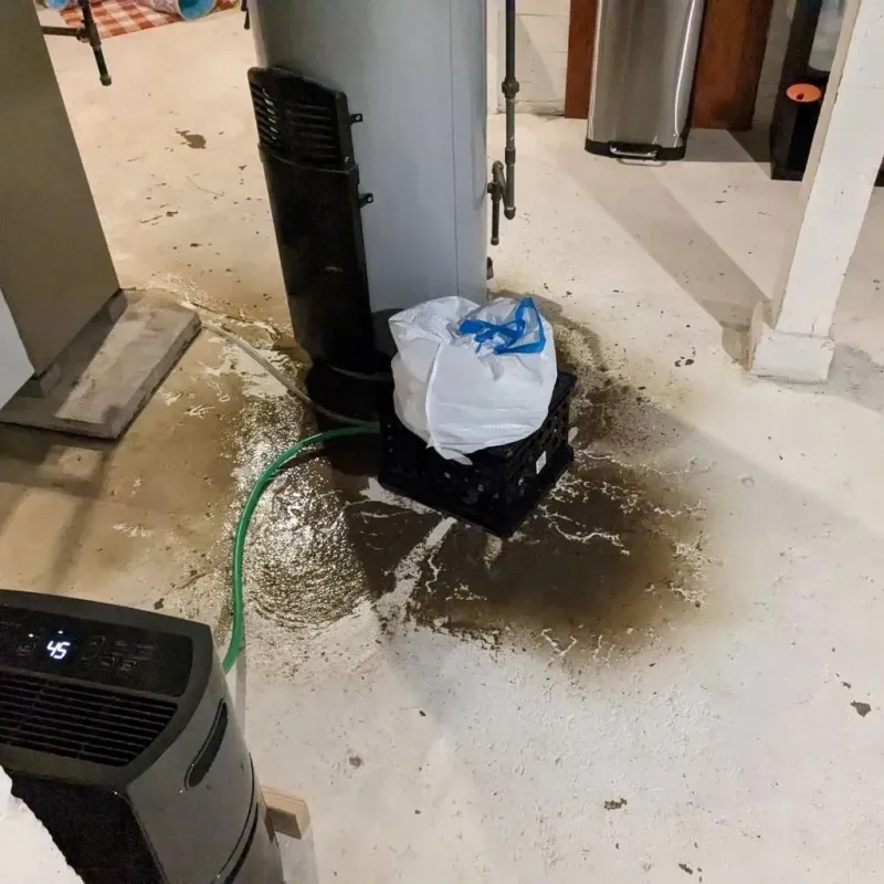 Sewage Backup Cleanup Service in Marion County, KY